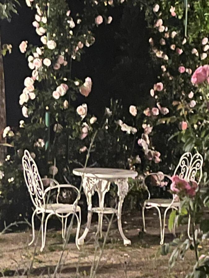 Dimora Rosa Bianca Hotel Macerata Ngoại thất bức ảnh
